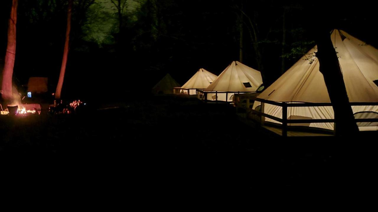 Harmony Tree Resorts Inc Nashville Exterior foto